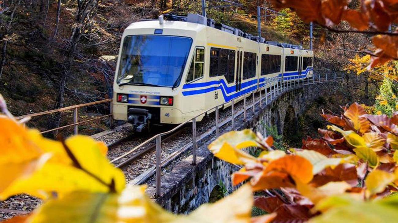 TRENINO DEL FOLIAGE Falcini Viaggi