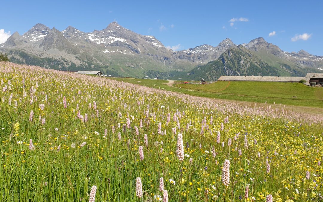 PARCO NATURALE DEL MARGUAREIS