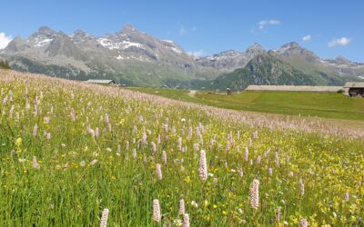 PARCO NATURALE DEL MARGUAREIS