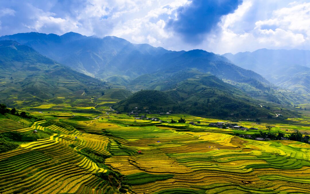 VIETNAM E PECHINO