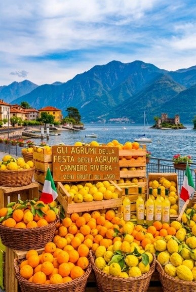 FESTA DEGLI AGRUMI A CANNERO RIVIERA