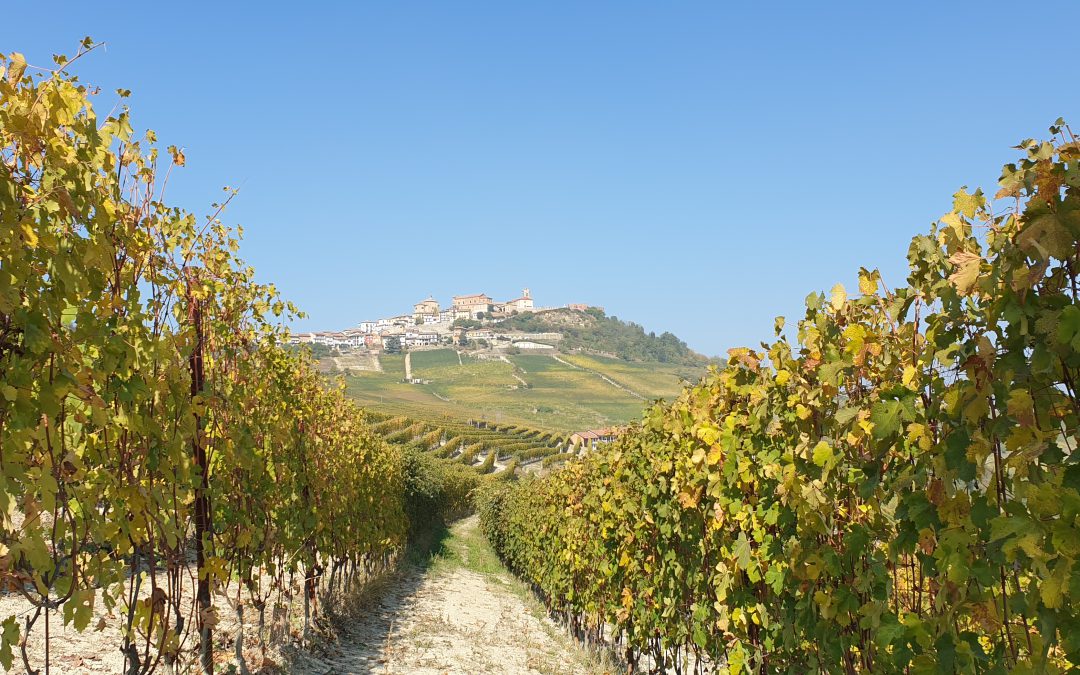 LANGHE COLORI E SAPORI