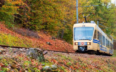 TRENINO DEL FOLIAGE