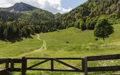VALSUGANA