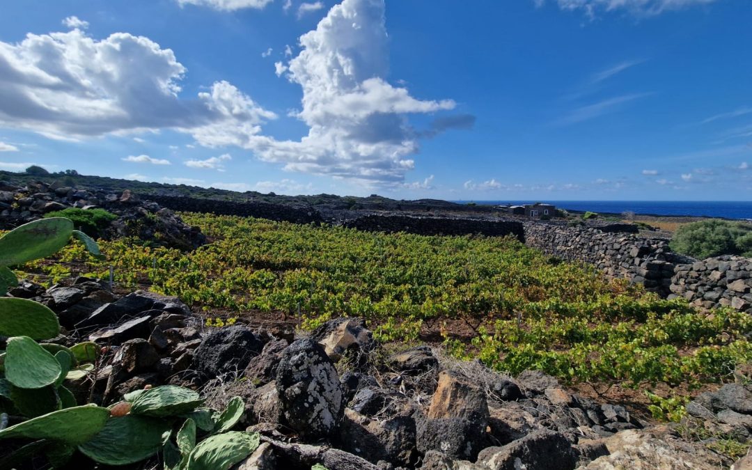 PANTELLERIA