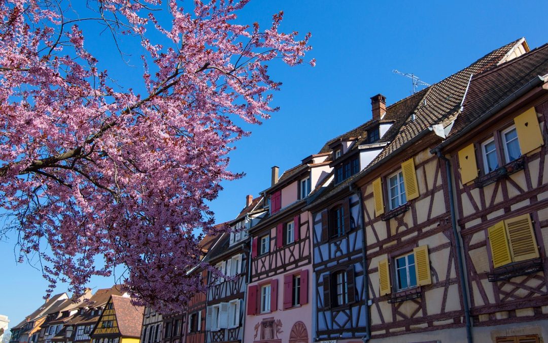 I BORGHI FIORITI DELL’ALSAZIA