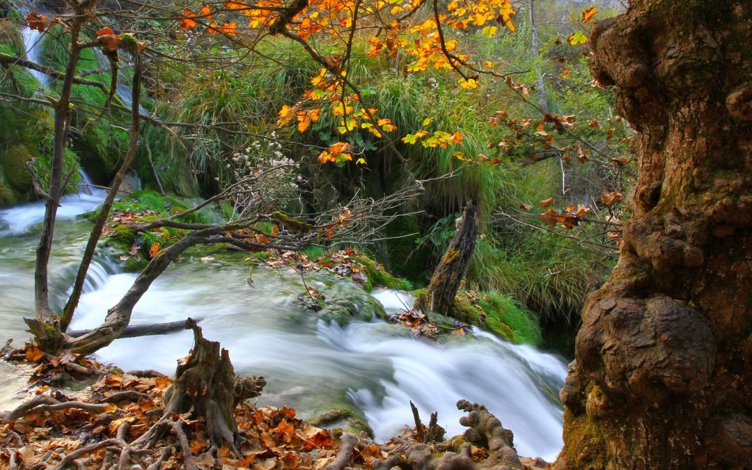 FOLIAGE AI LAGHI DI PLITVICE