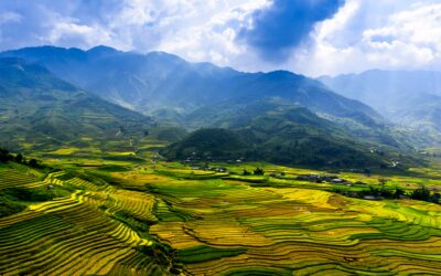 VIETNAM E PECHINO