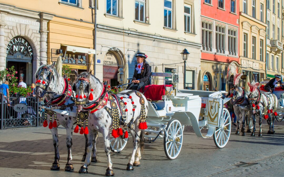 CRACOVIA E MINIERE DI SALE